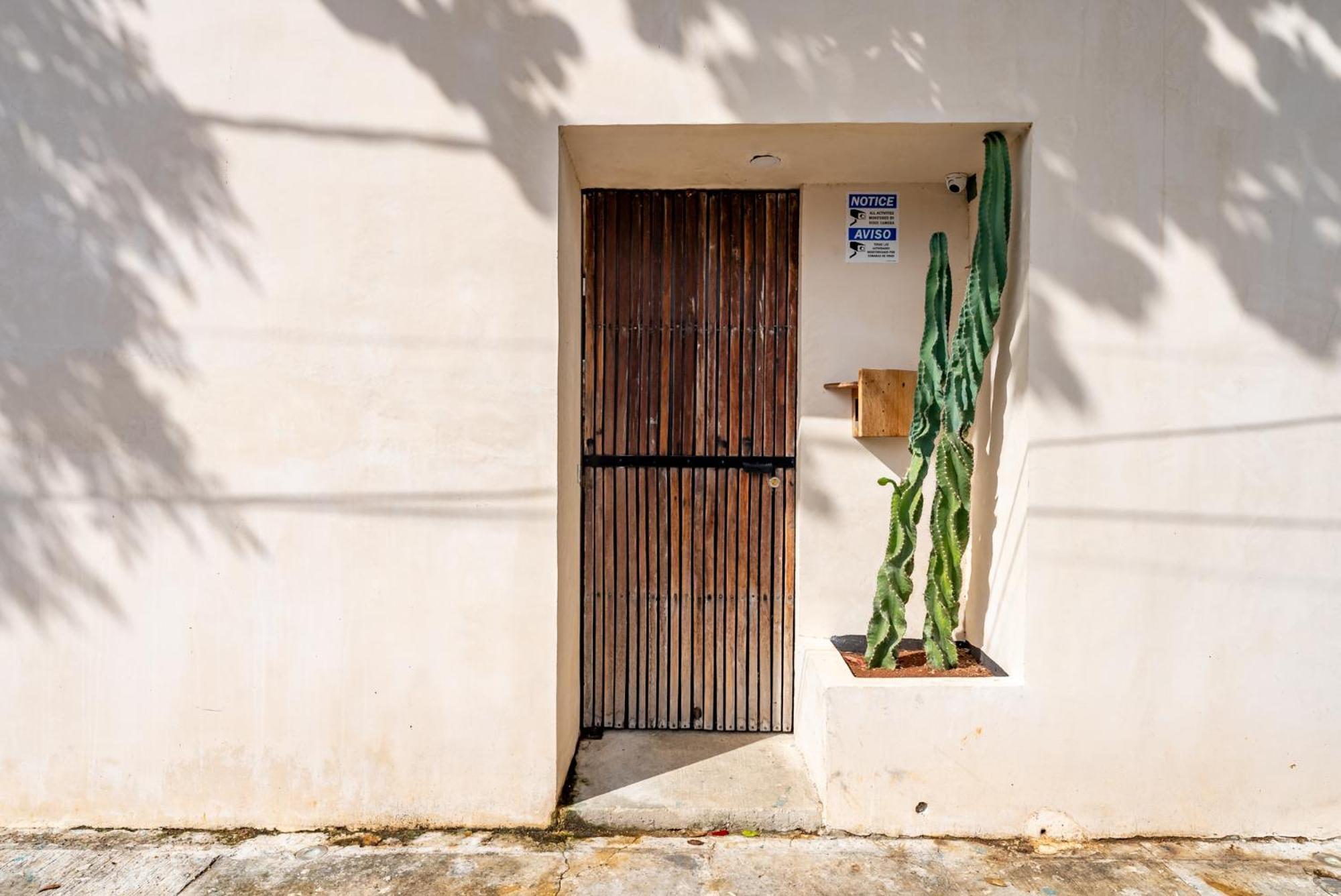 Casa Jicama Apartment Cancun Exterior photo